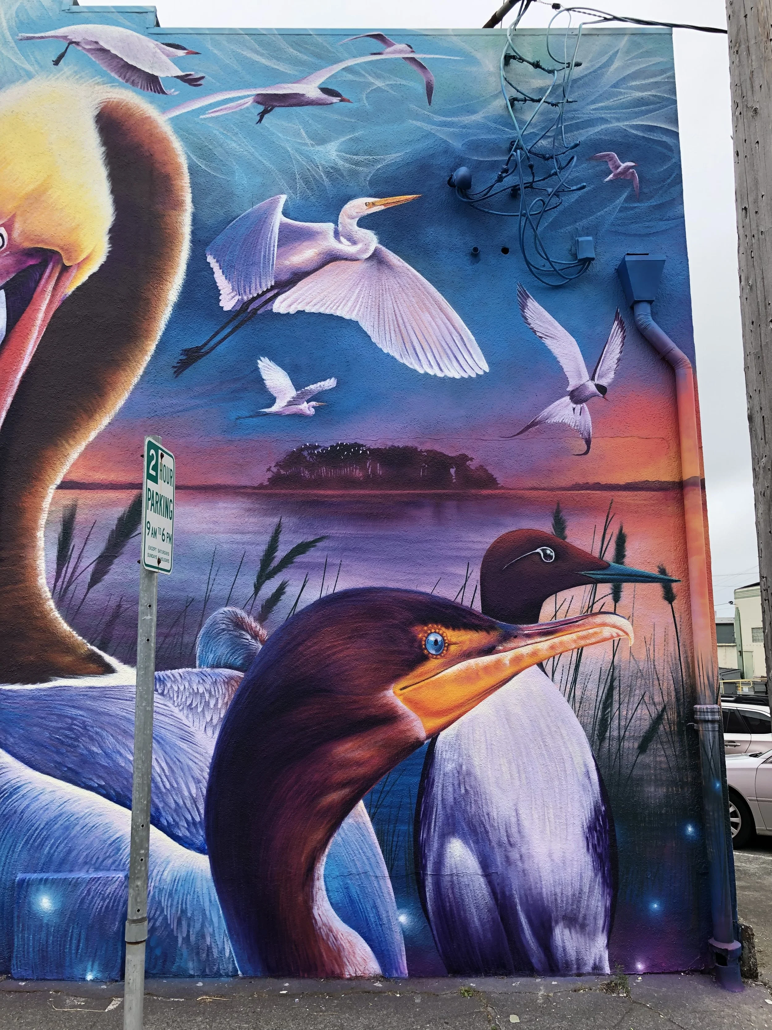 2019-08-04 15.23.19.jpg