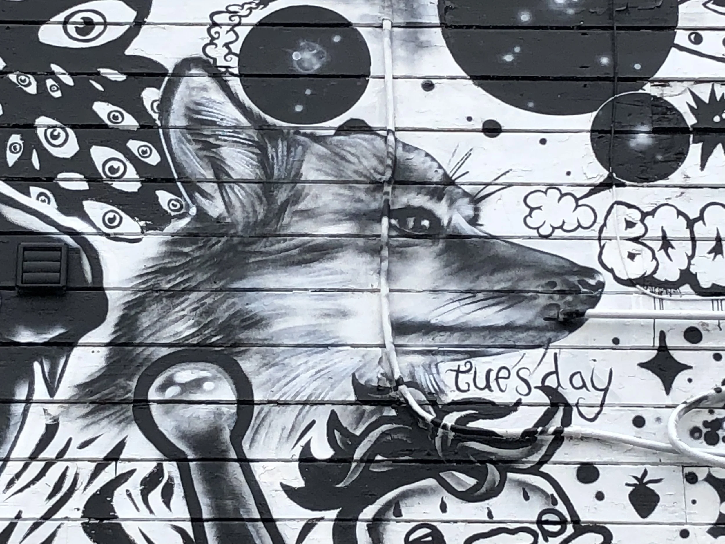 2019-08-04 14.48.10.jpg