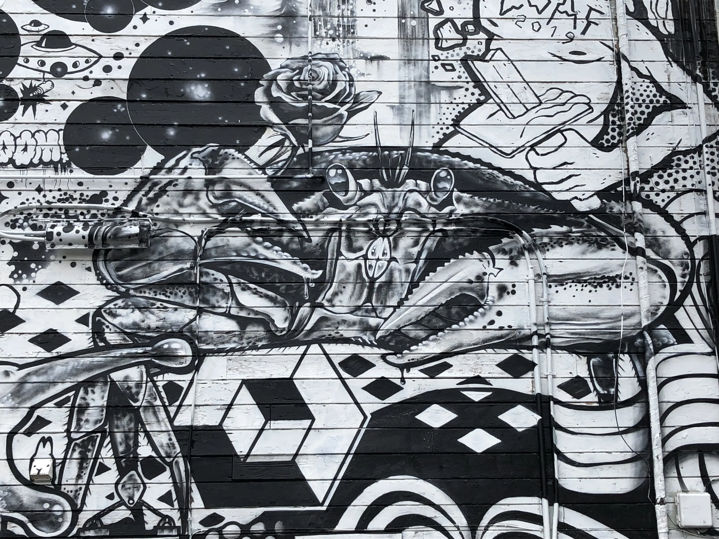 2019-08-04 14.48.35.jpg