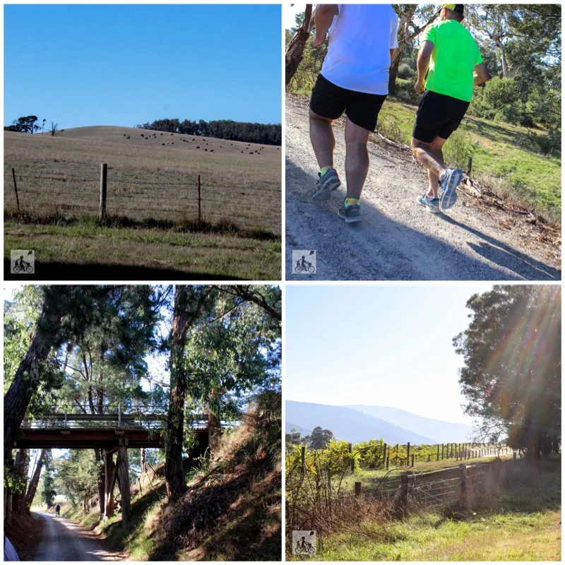 warburton rail trail — mamma knows east