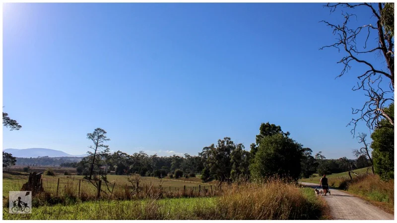 warburton rail trail 