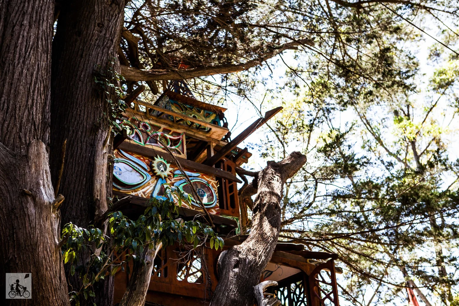 boinga bobs treehouse