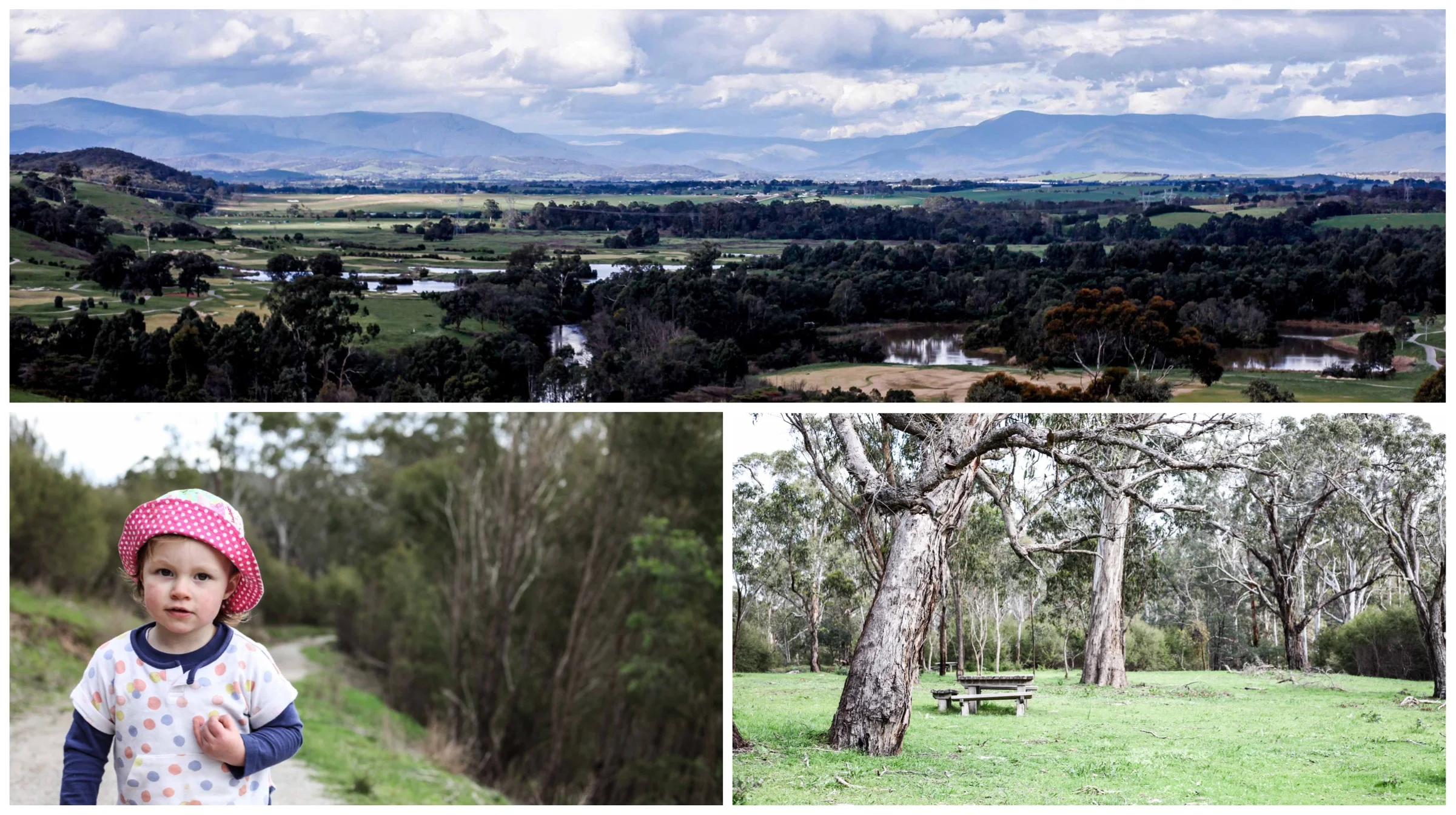 mt lofty, wonga park