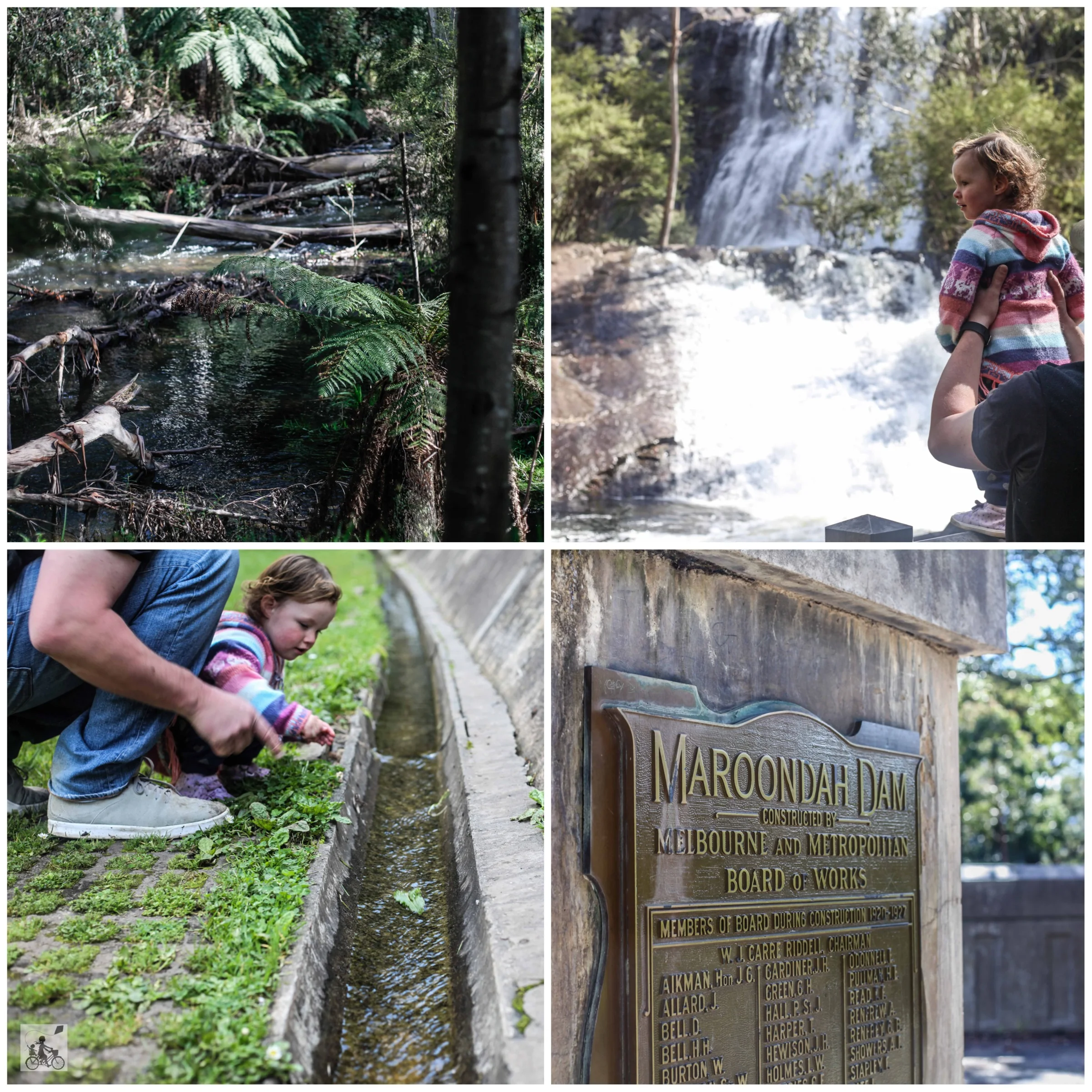 maroondah reservoir park, healesville — mamma knows east
