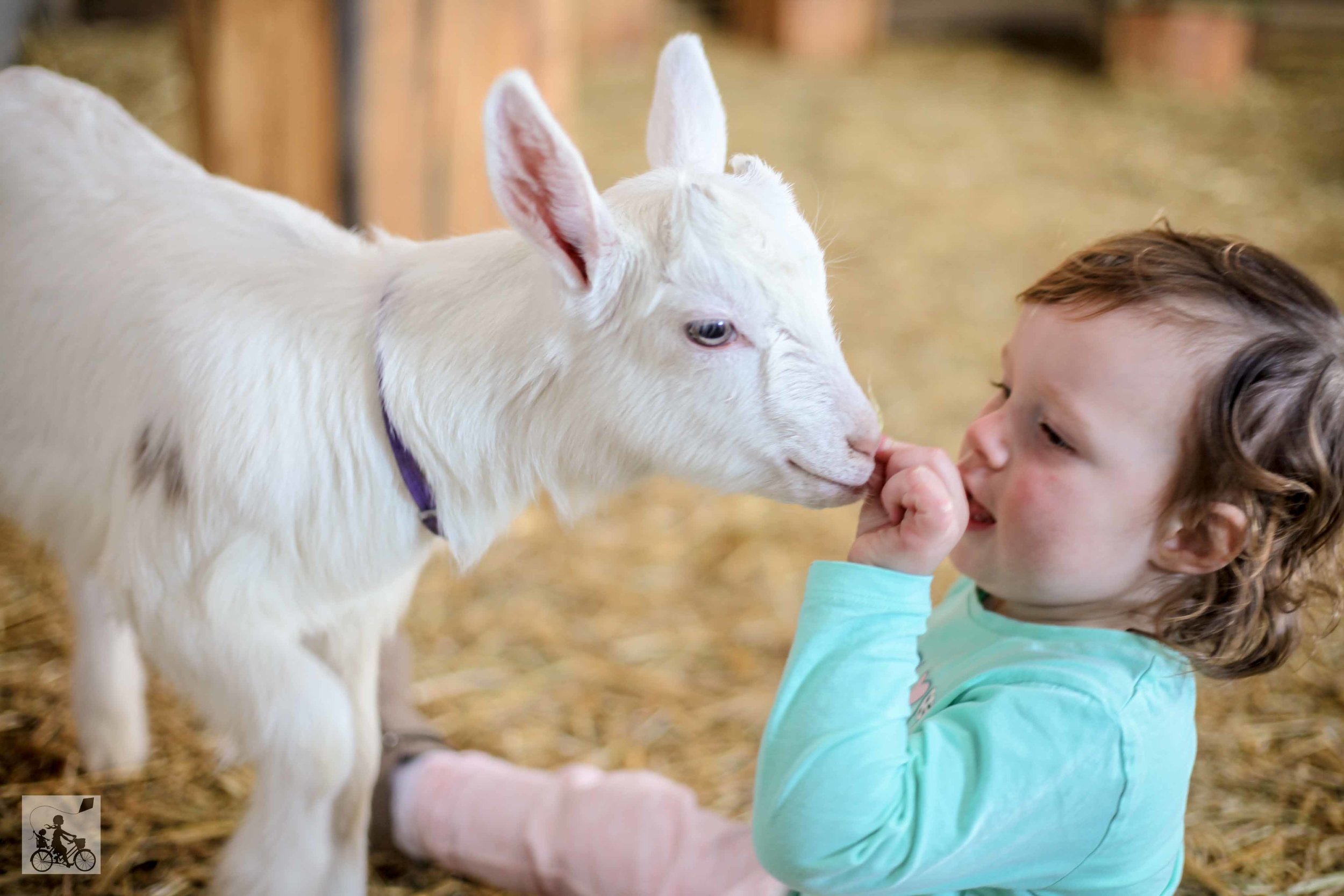 Mamma Knows East - Bundoora Park Farm 