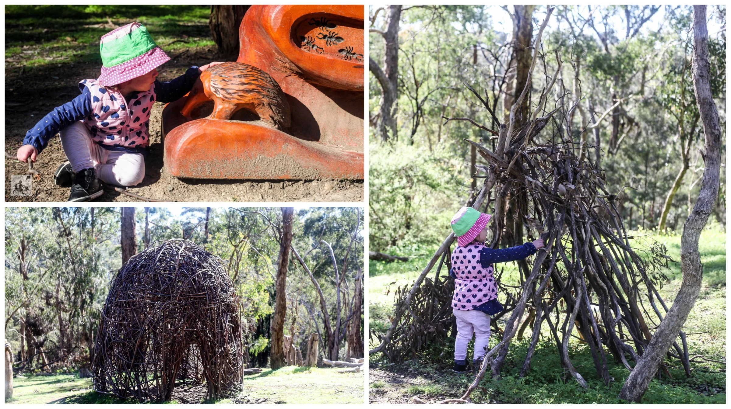 currawong bush park, doncaster east