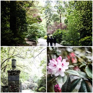 alfred nicholas memorial gardens