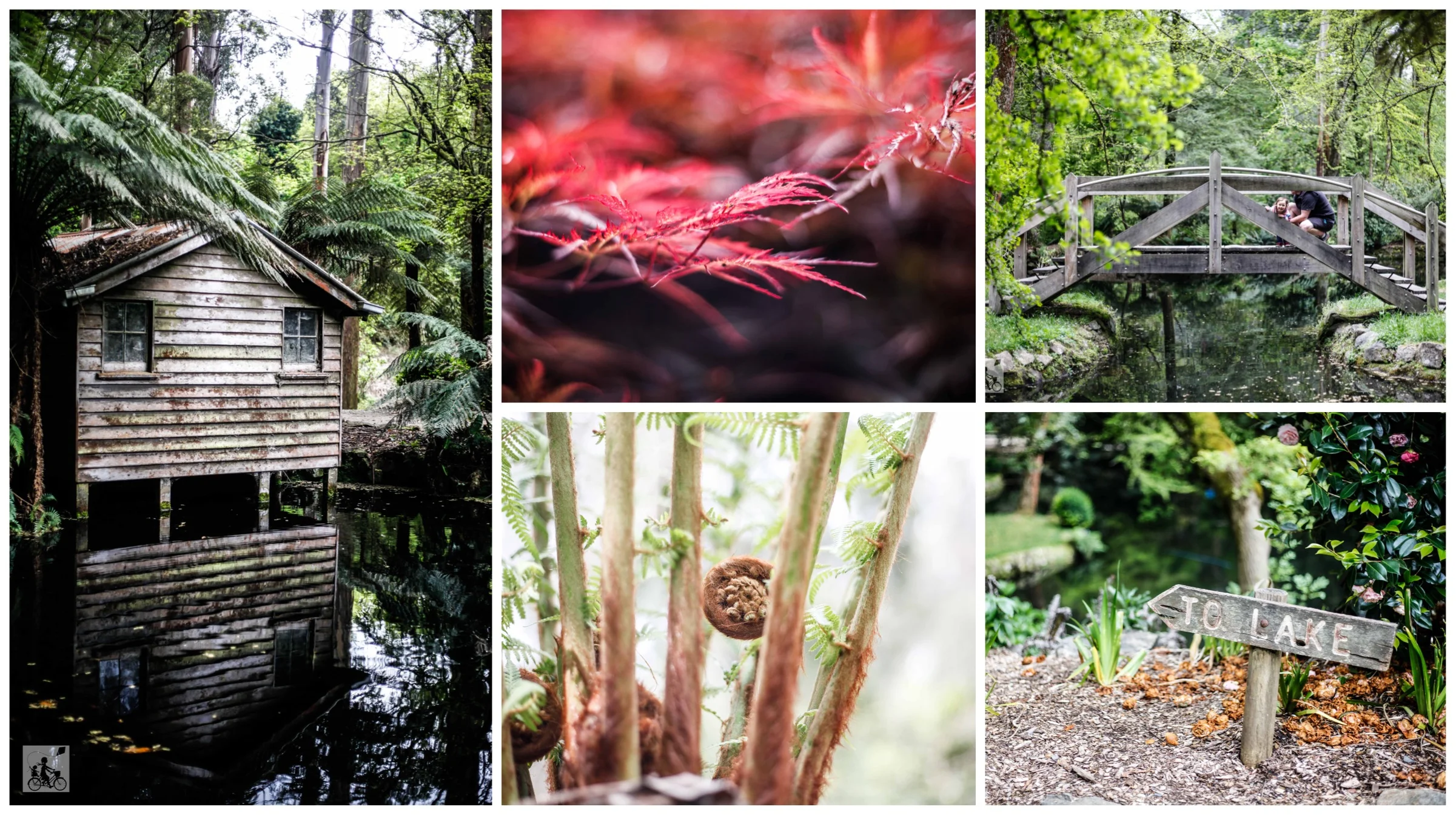 alfred nicholas memorial gardens, sherbrooke