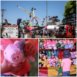 the lilydale agricultural & horticultural show