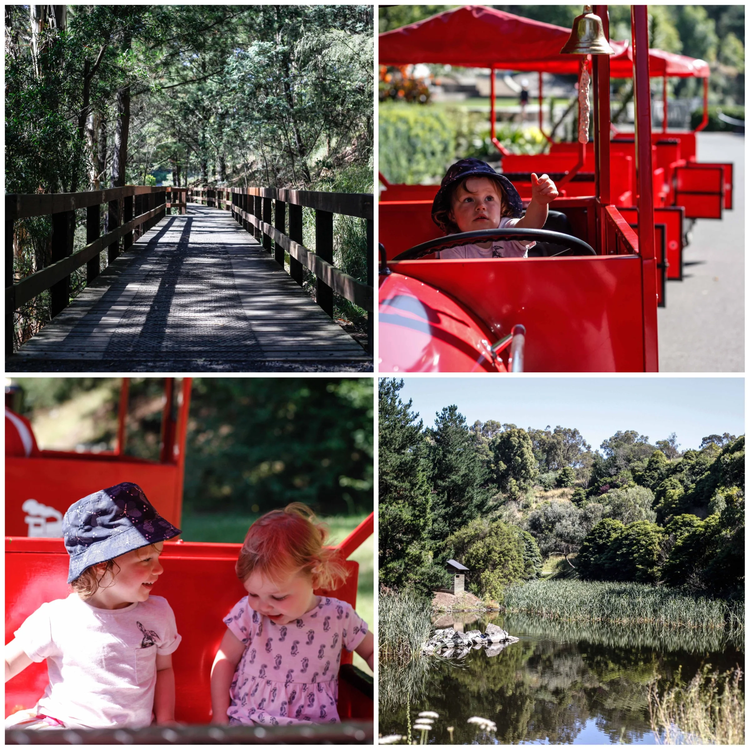The Little Red Train Wilson Botanic Park Berwick Mamma Knows East
