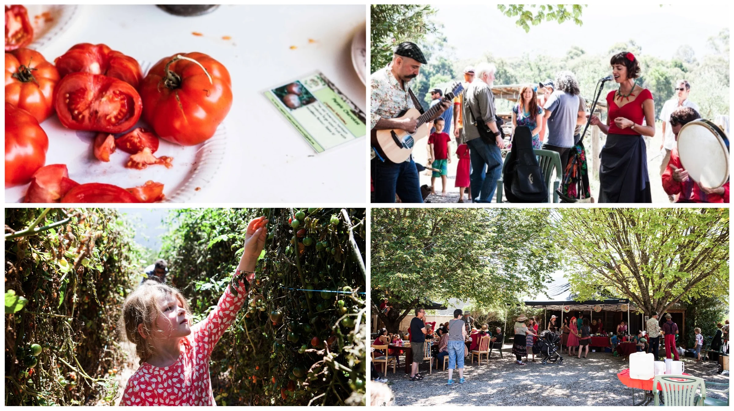 tomato festival &amp; flavours of the mediterranean, yarra junction