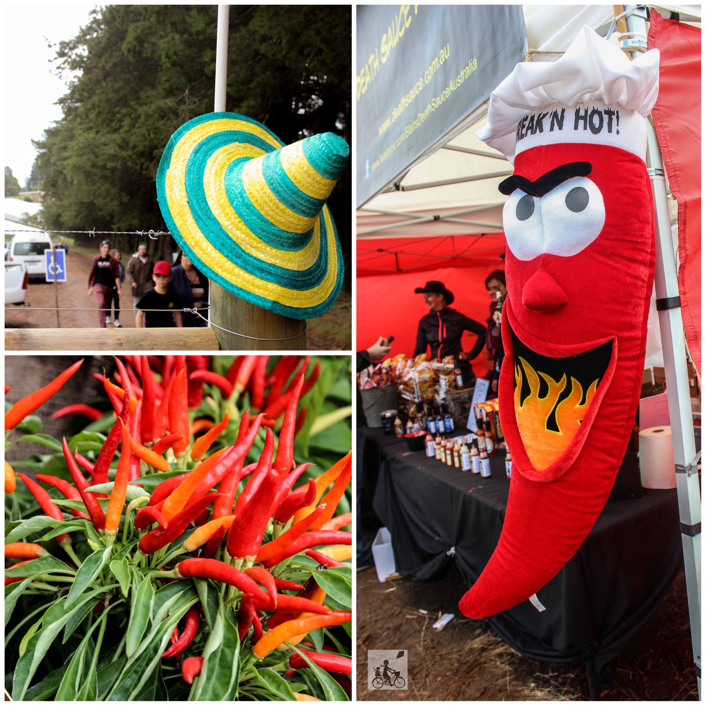 herb and chilli festival, wandin east — mamma knows east