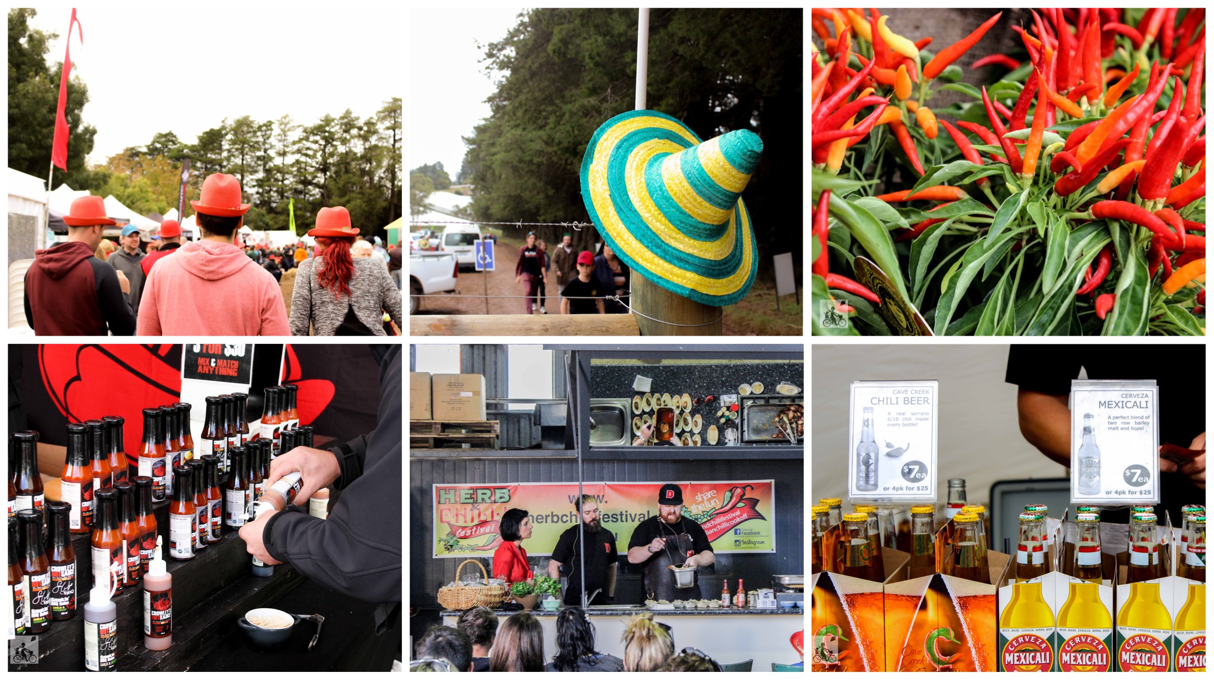 herb and chilli festival, wandin east 