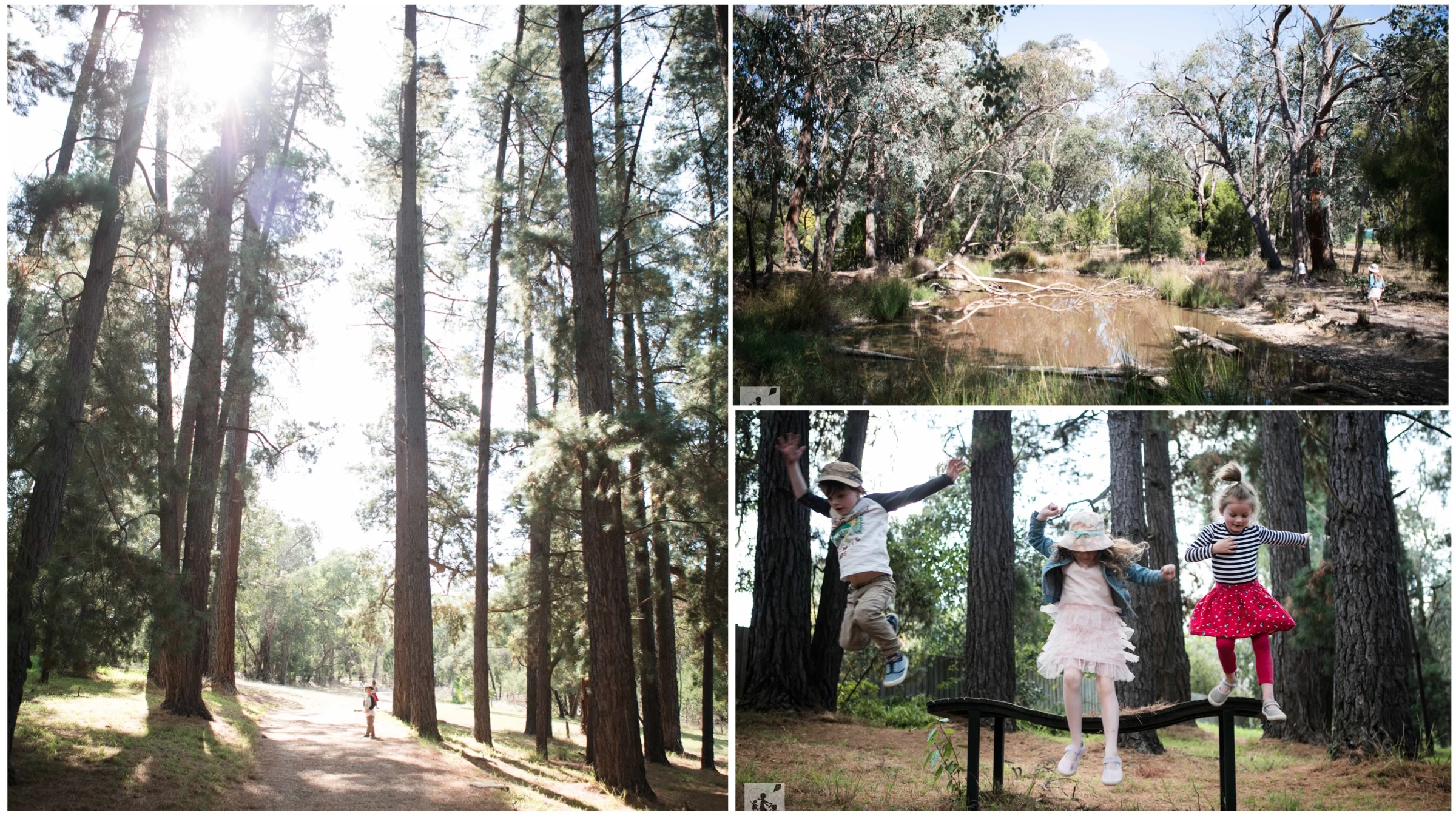 the 100 acres, park orchards