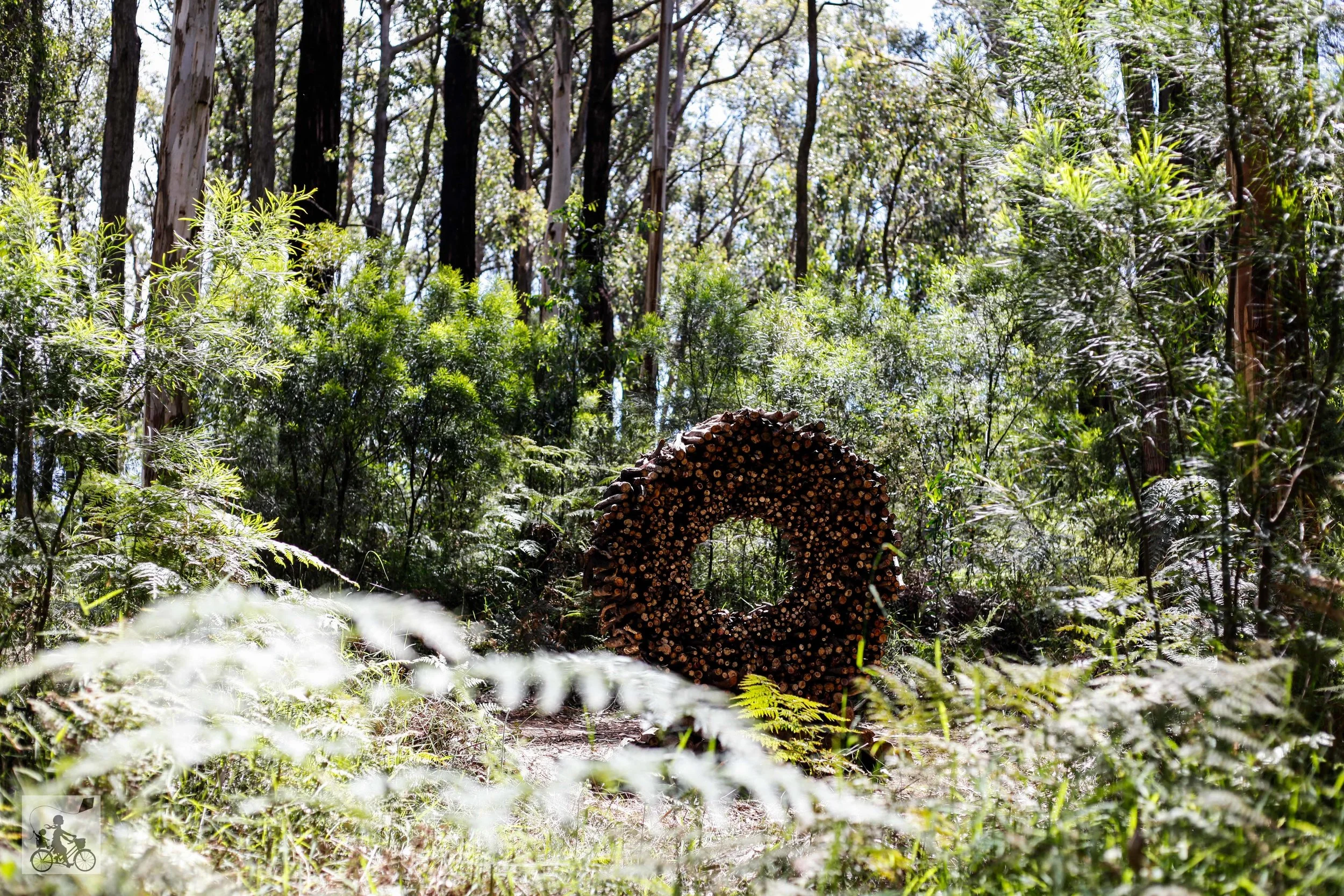 toolangi sculpture trail, toolangi