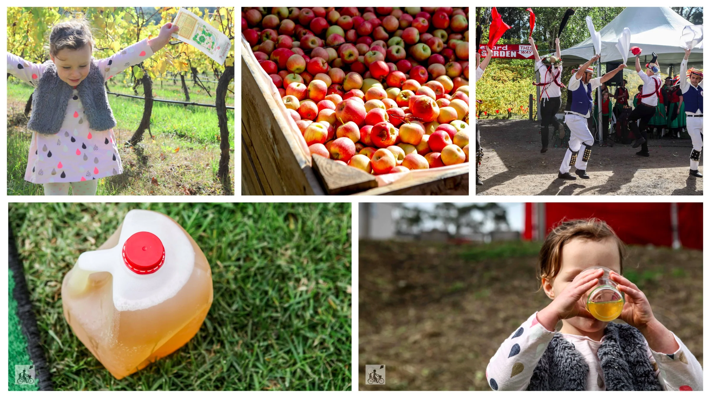 kellybrook cider festival, wonga park 