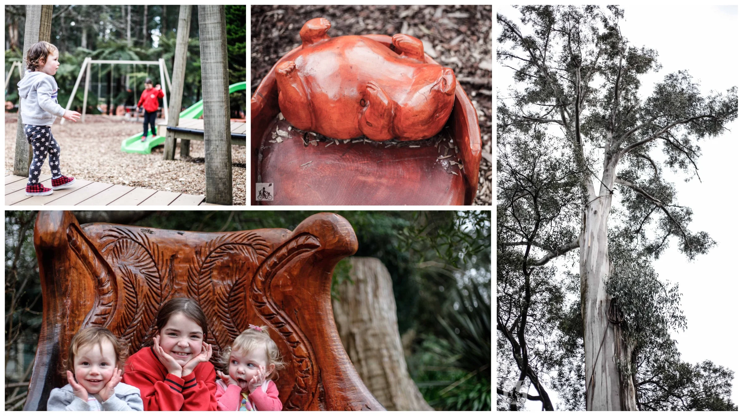 ferny creek playspace, sherbrooke