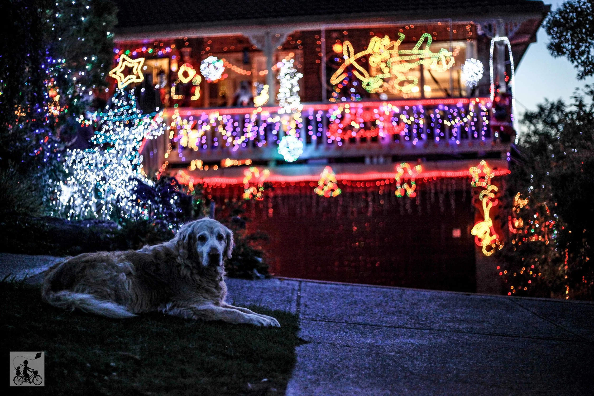 Christmas House on Mulgrave Way, Croydon North — mamma knows east