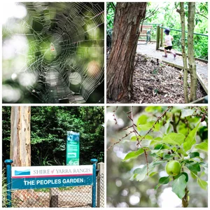 kevin heinze the peoples garden