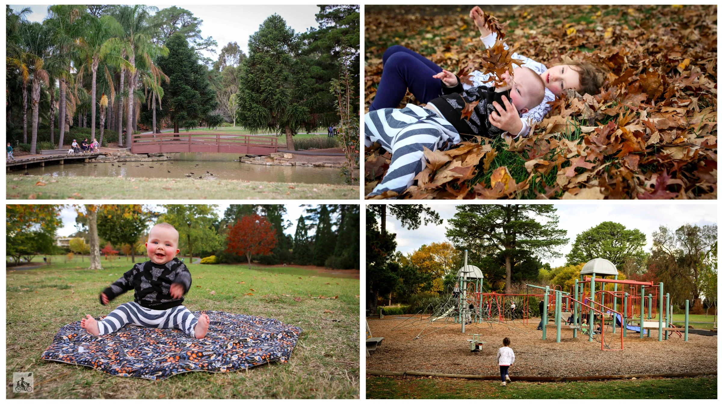 mcalpin reserve, ringwood north
