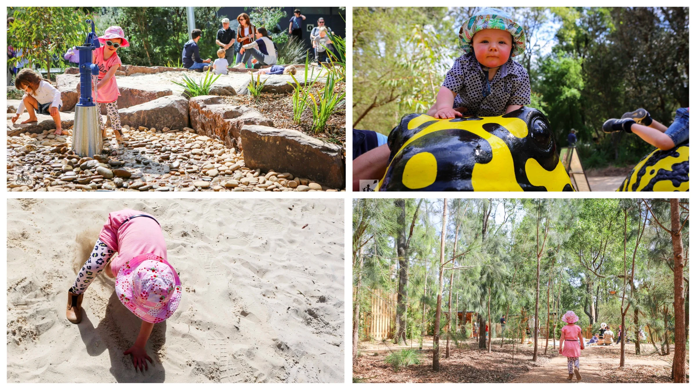 casuarina forest play space, healesville sanctuary 