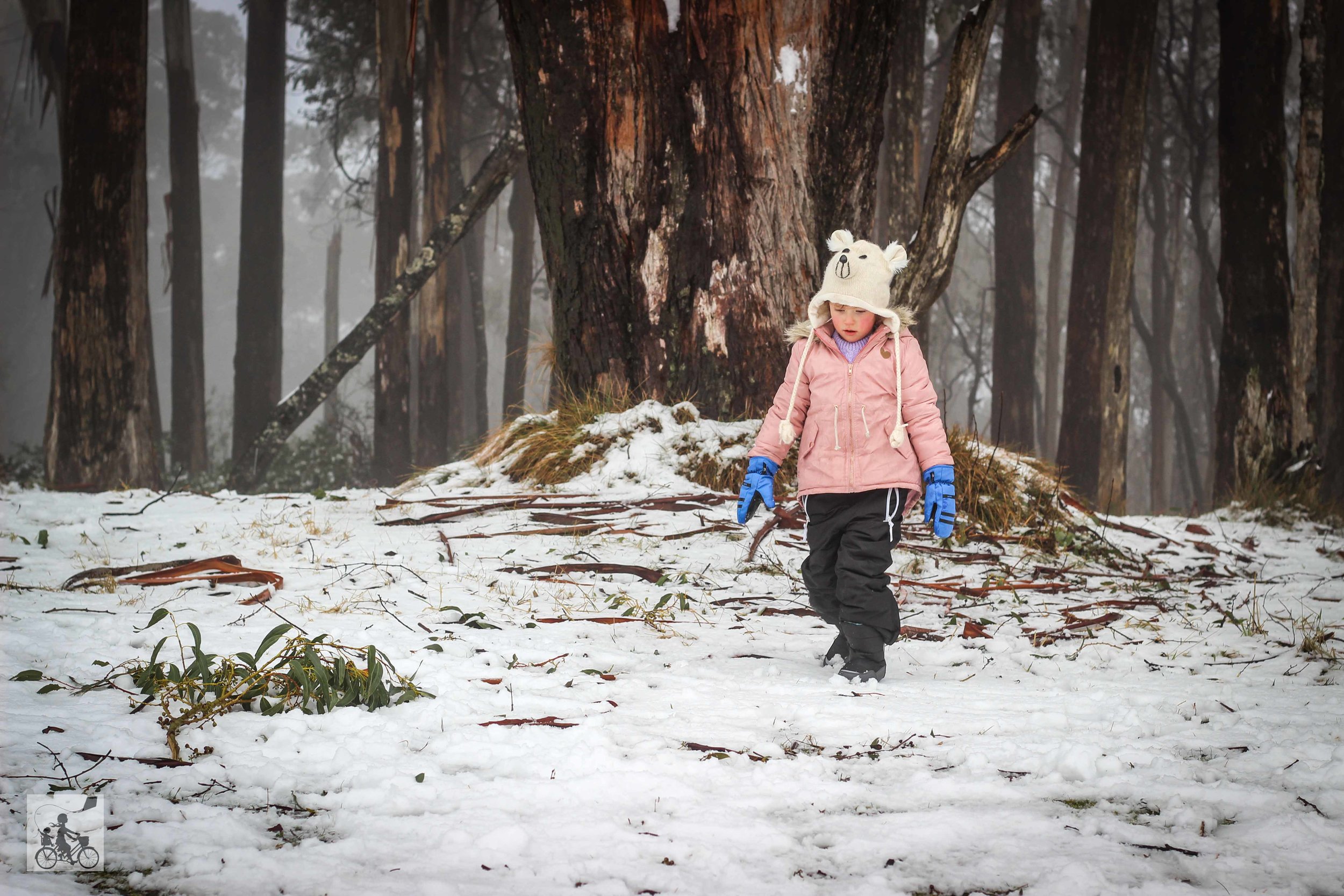 10. Mt Donna Buang