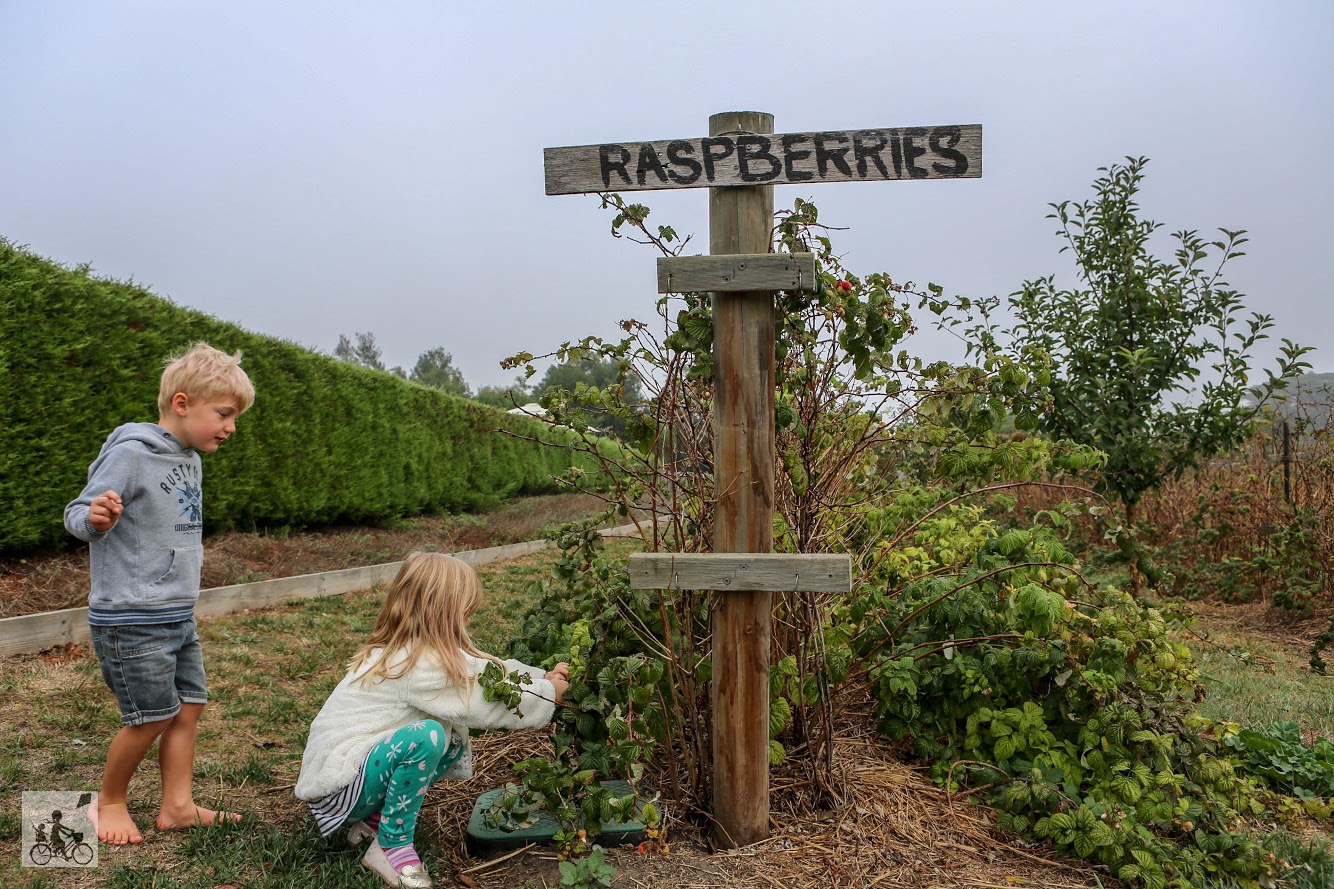 Ravens Creek Farm, Moriac