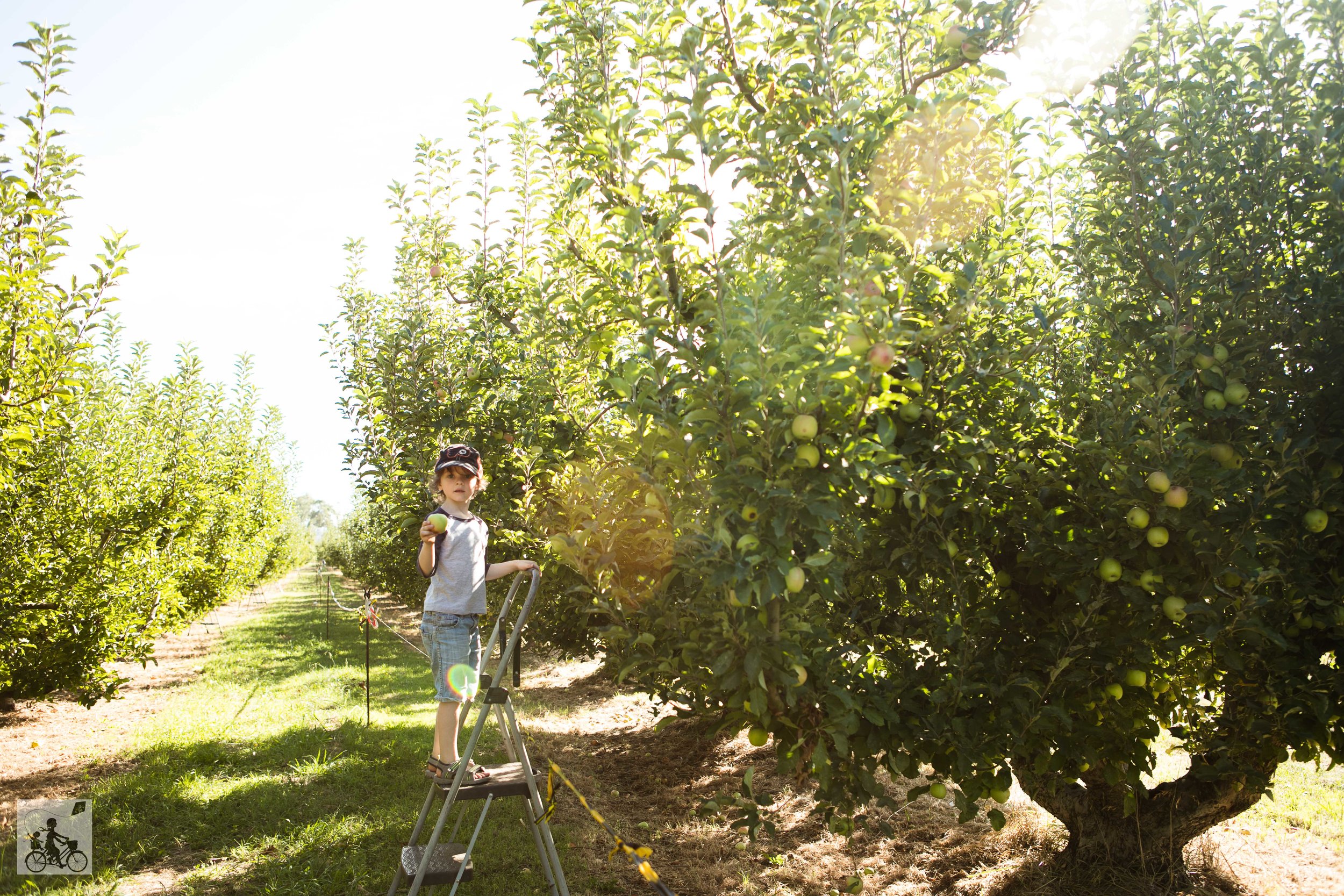 Paynes Orchards, Bacchus Marsh