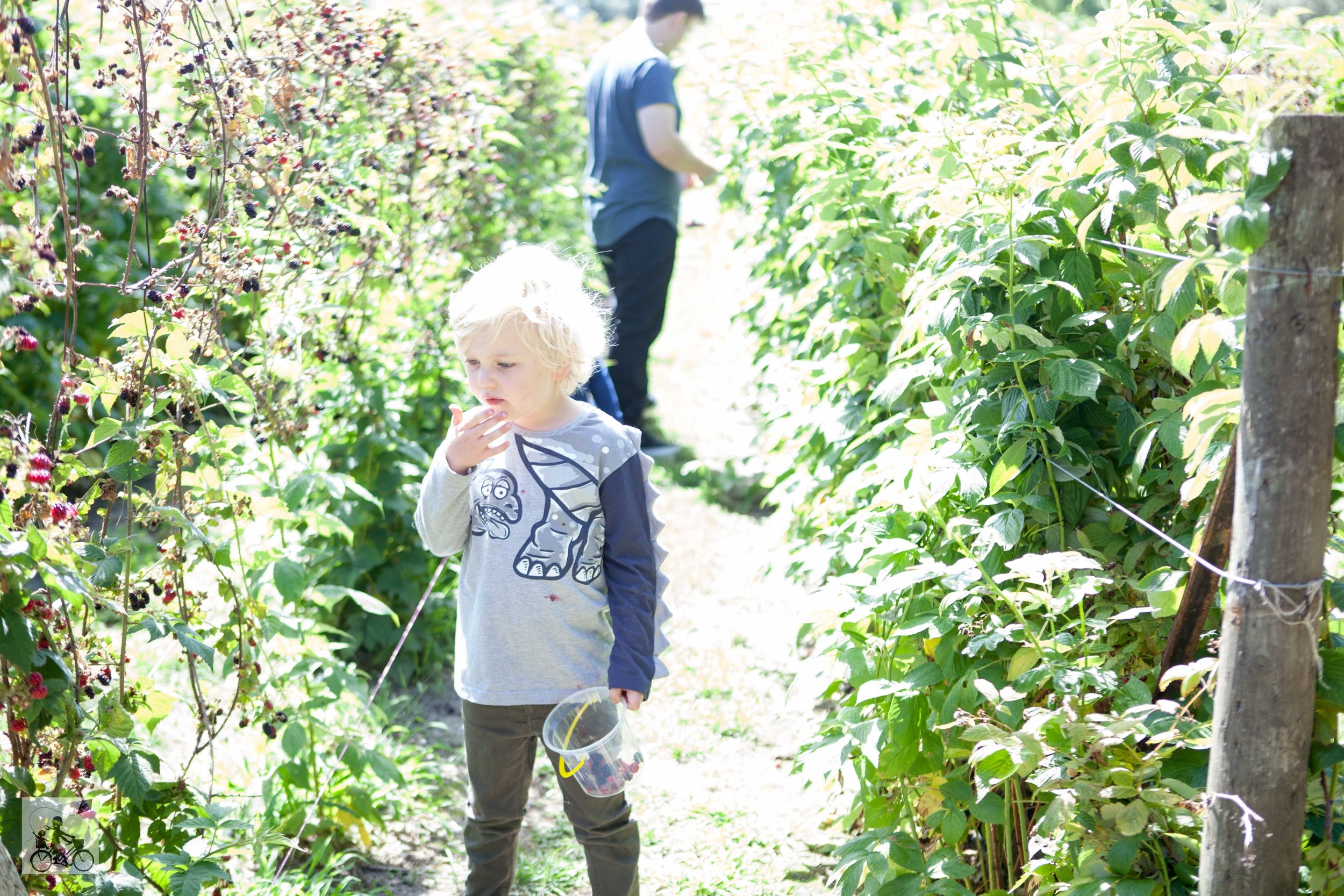 The Bramble Farm, Langwarrin