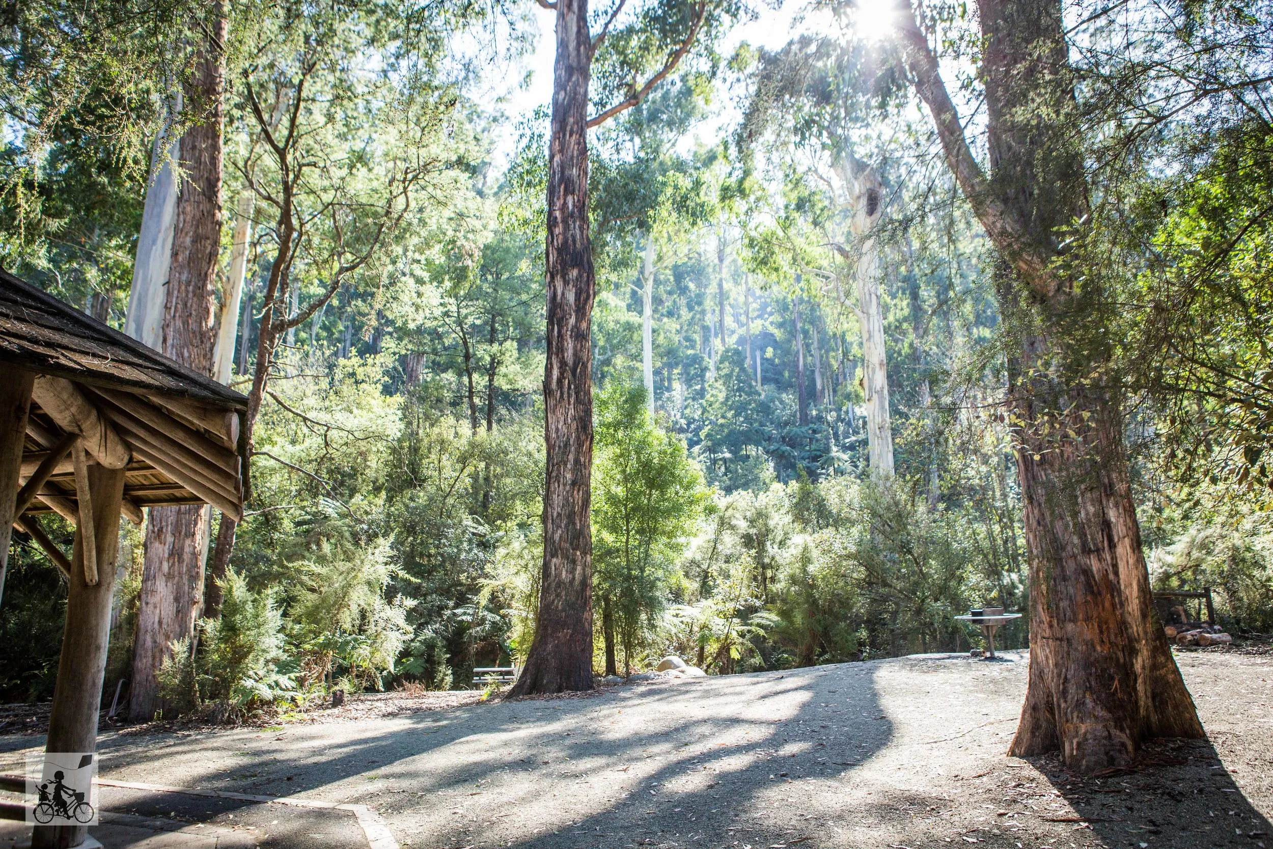 Badger Creek Weir, Badger Creek, Healesville — mamma knows east