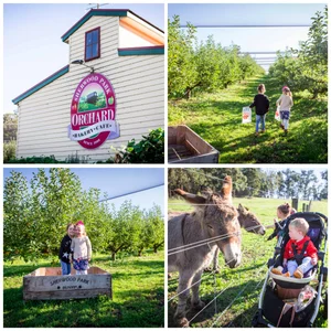 sherwood park orchard