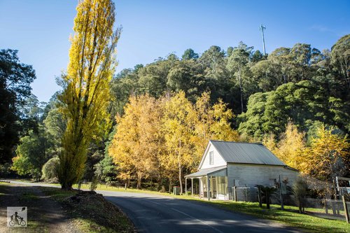 walhalla historic township
