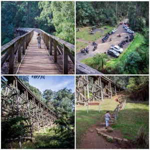 noojee trestle bridge rail trail