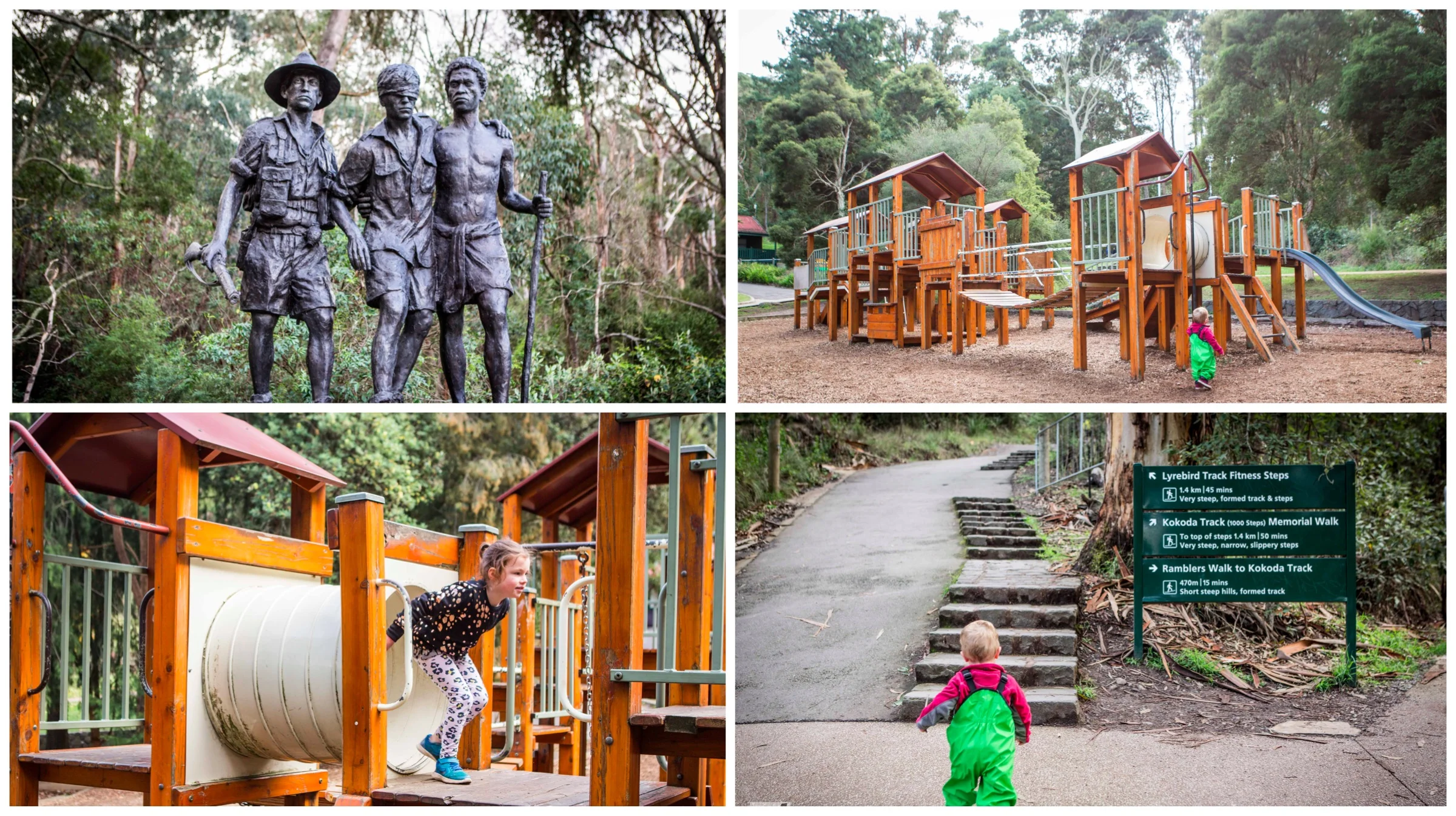 1000 steps - kokoda track memorial walk, ferny creek