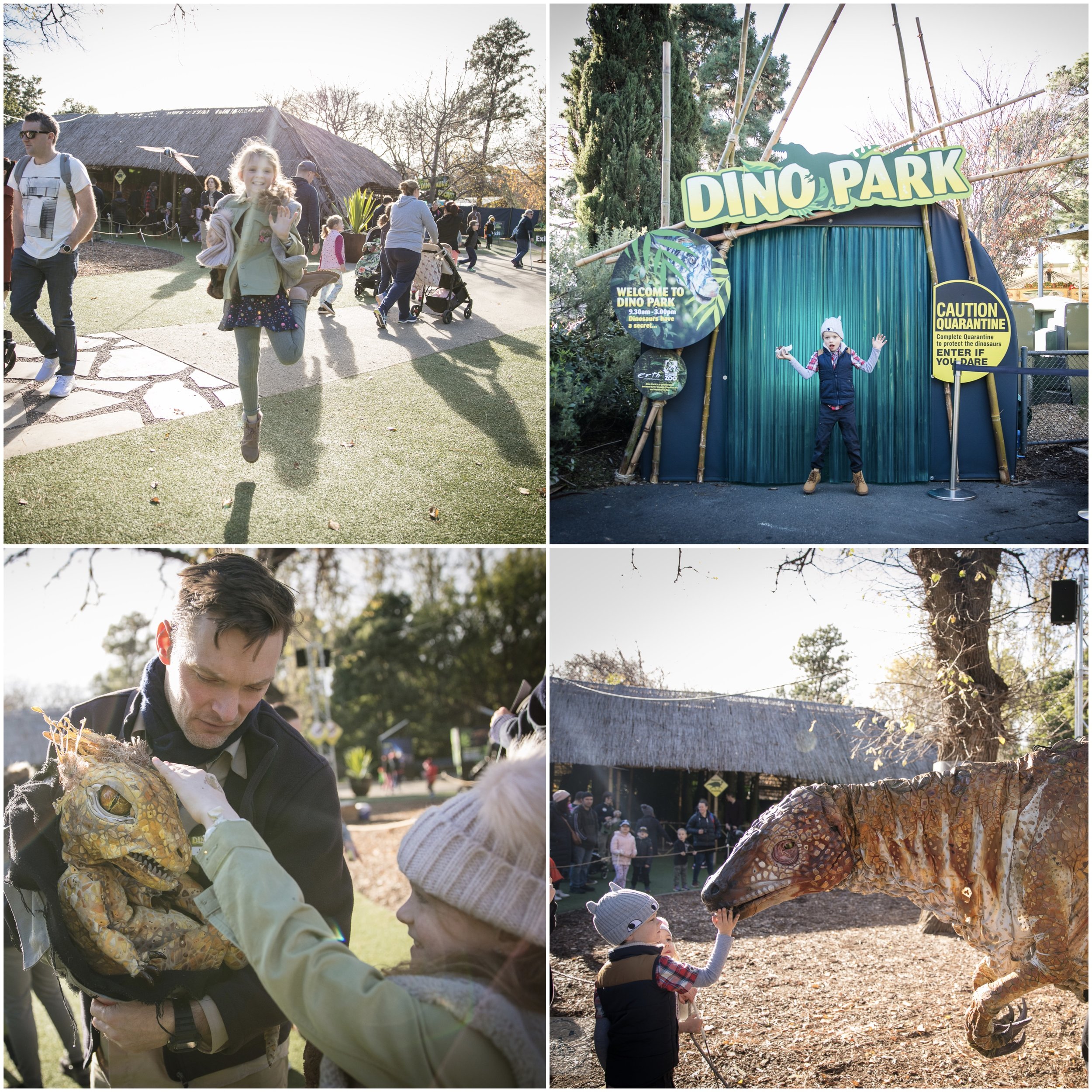 Dino Park 1.jpg