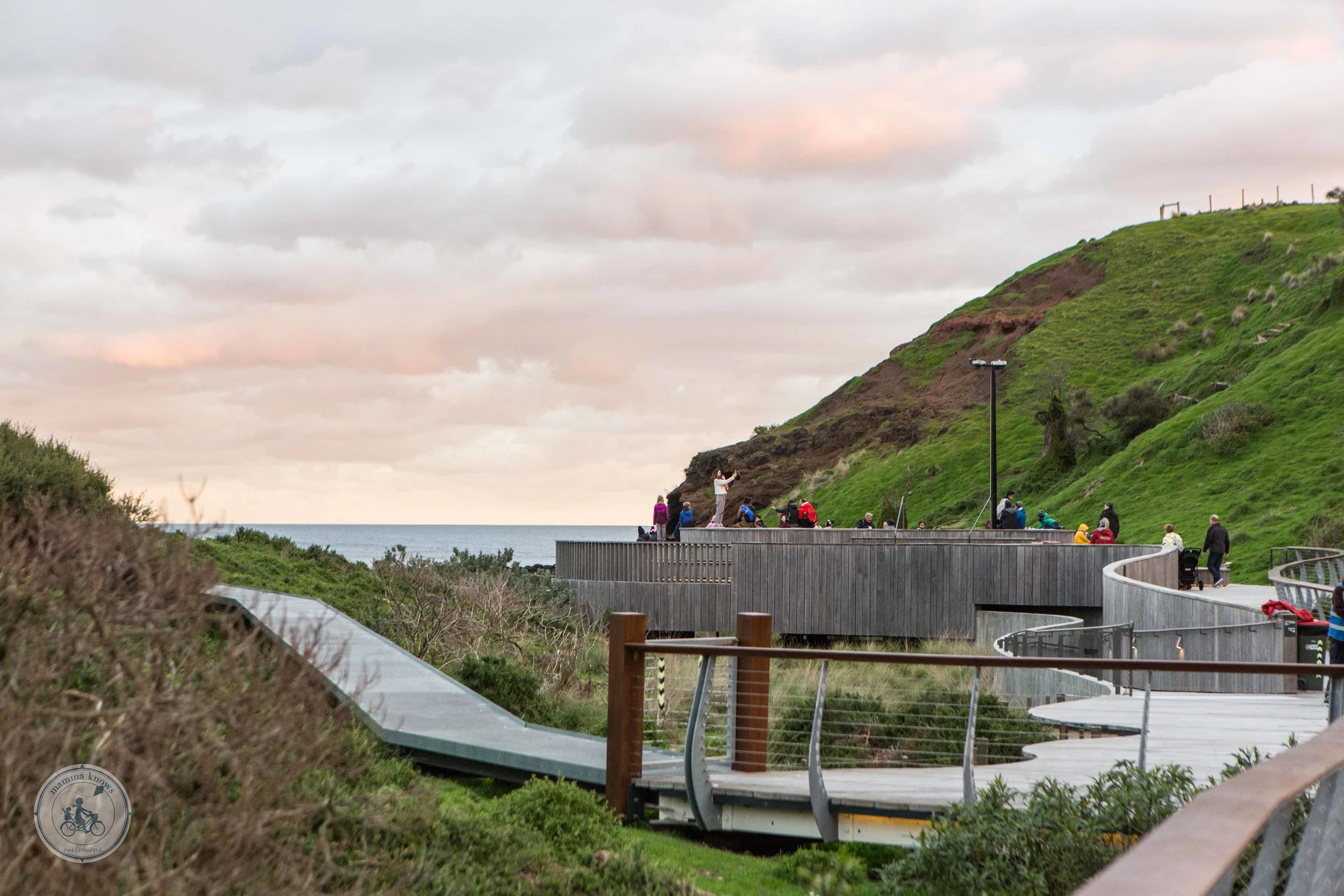 penguin parade, summerlands beach — mamma knows east