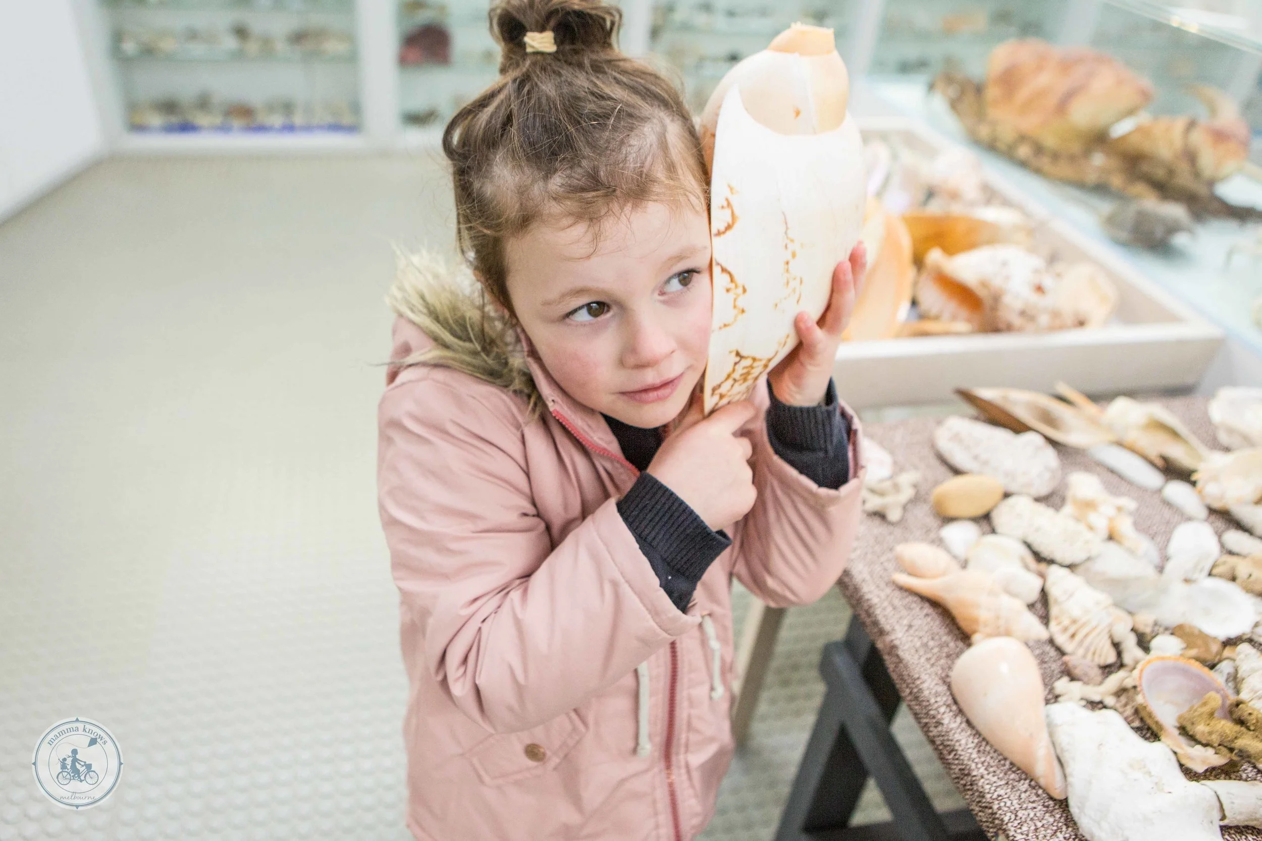 shell museum @ bunurong environment centre, inverloch — mamma knows east