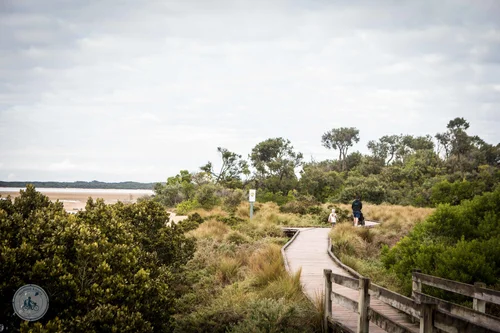 screw creek nature walk