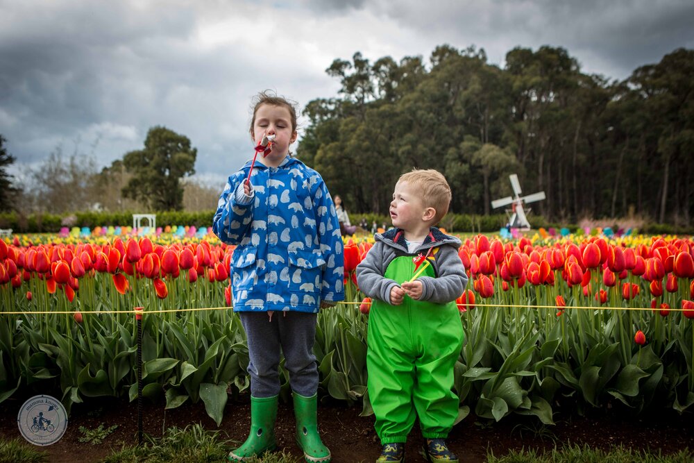 Tulip Festival 2019 (59 of 75).jpg