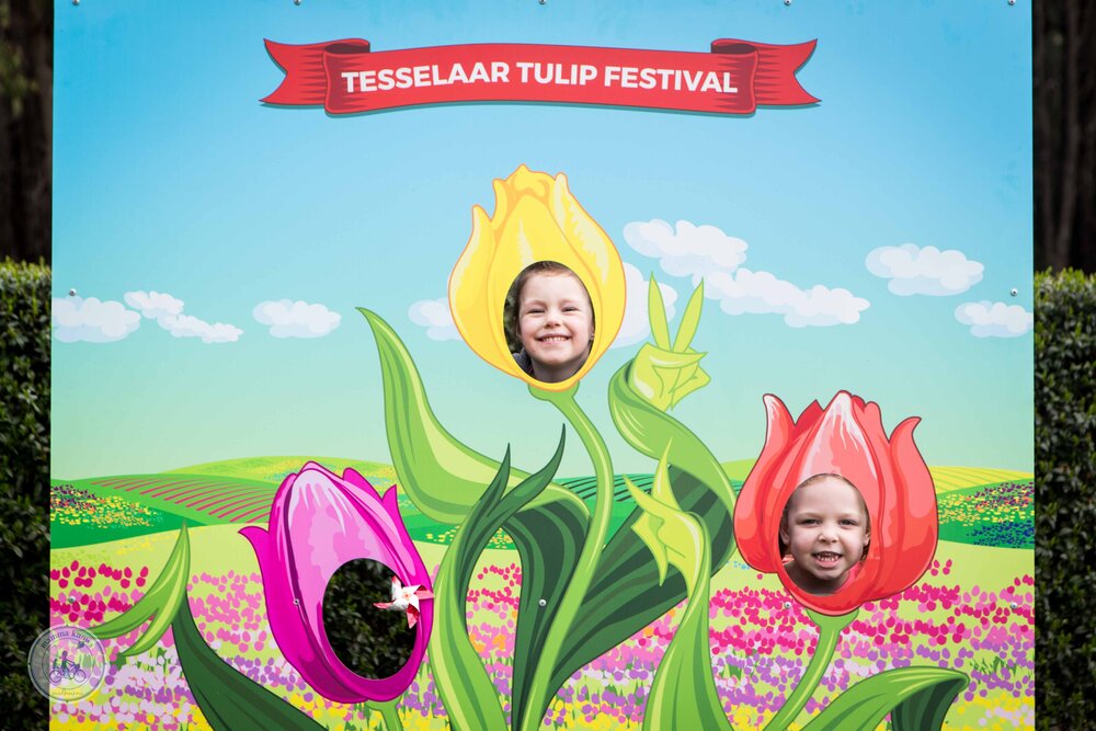 Tulip Festival 2019 (2 of 75).jpg
