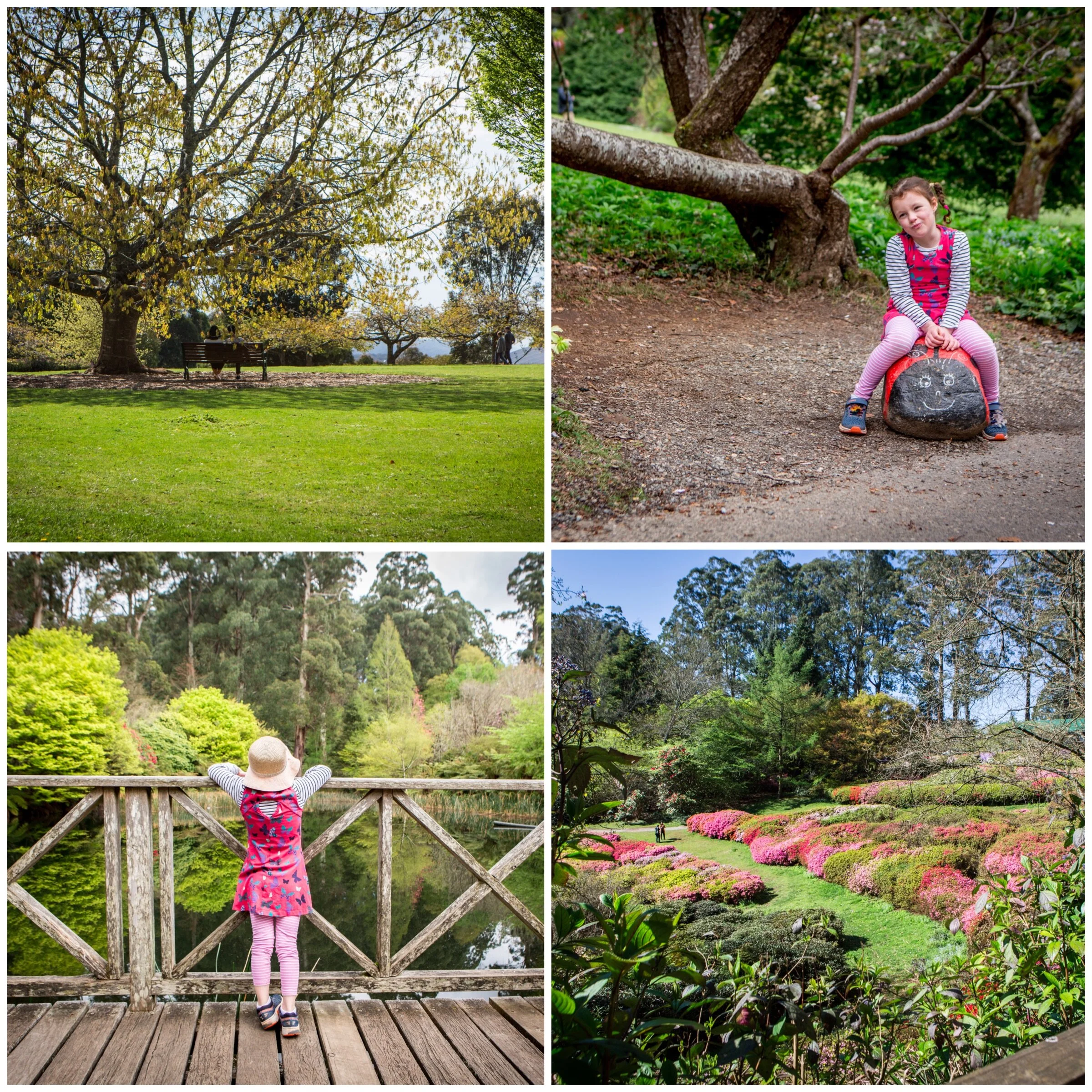 the dandenong ranges botanic gardens, olinda — mamma knows east the dandenong ranges botanic gardens, olinda — mamma knows east