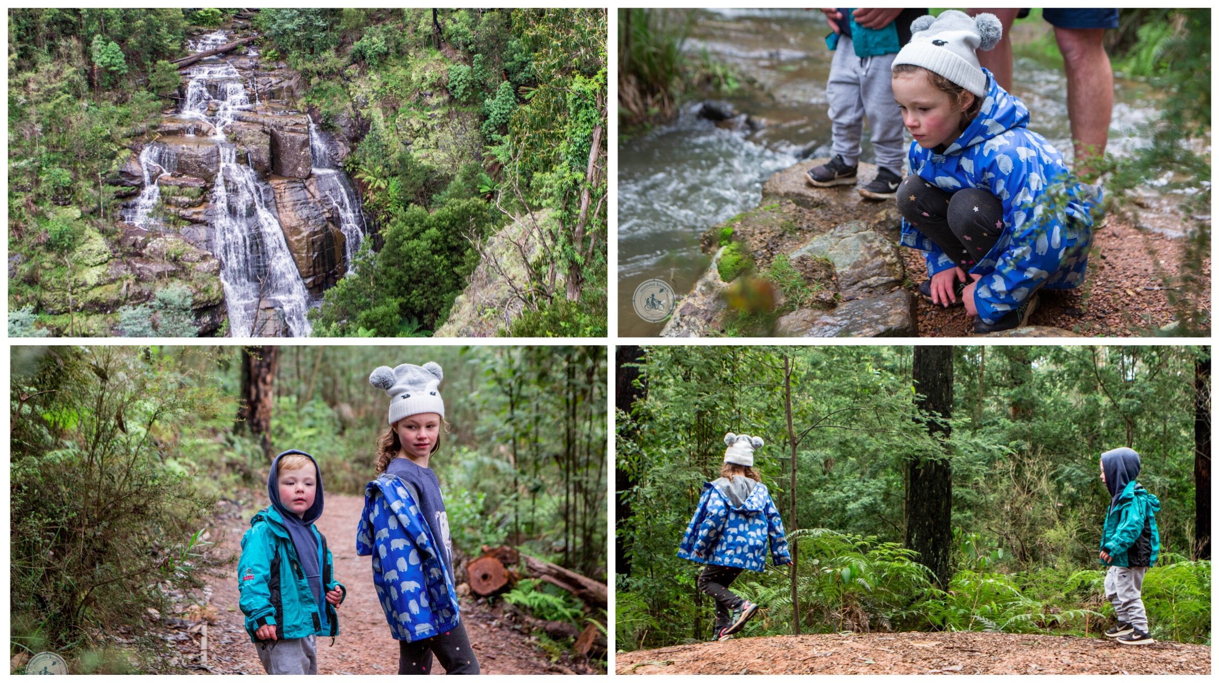 masons falls, kinglake national park, kinglake west