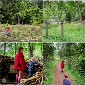 dragon forest @ r. j. hamer arboretum