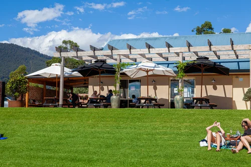 blueberry farm winery