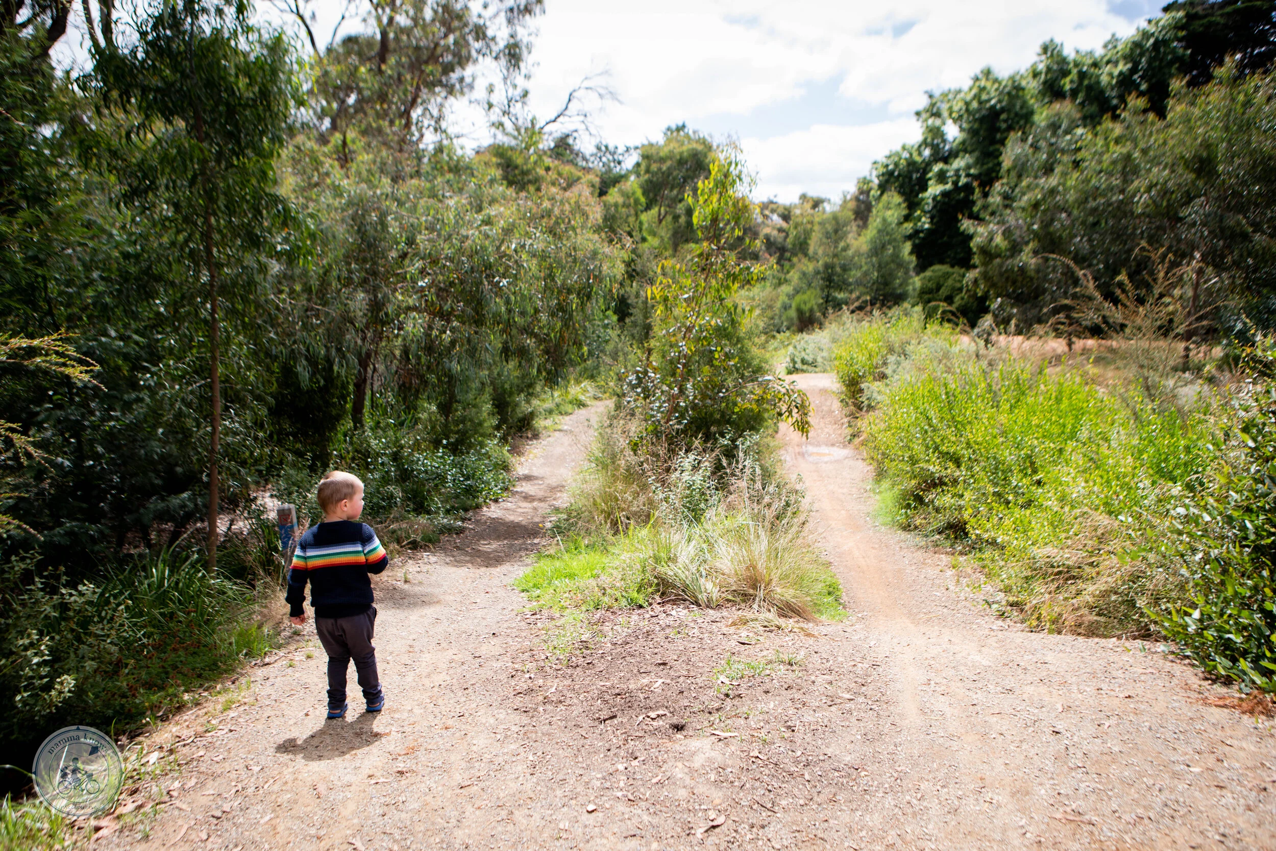 heatherdale bmx pump tracks, mitcham — mamma knows east
