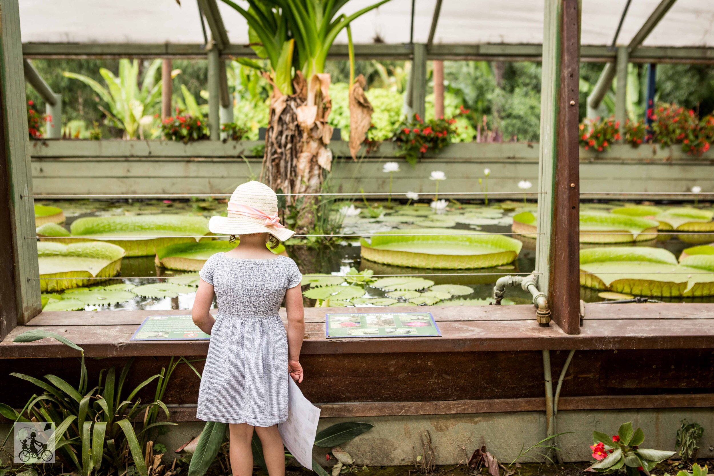 Blue Lotus and Water Garden, Yarra Junction