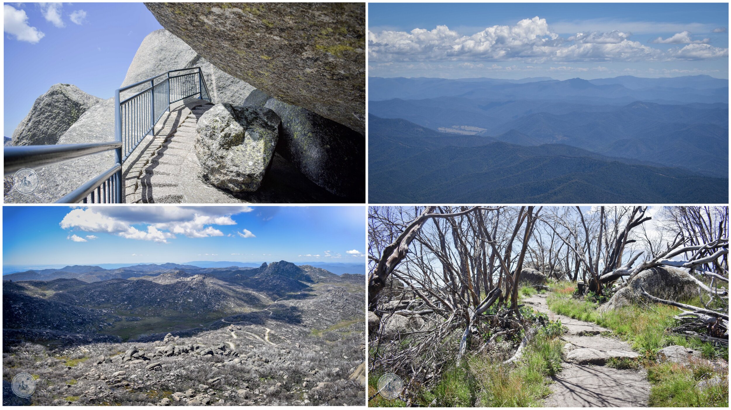 the horn, mt buffalo