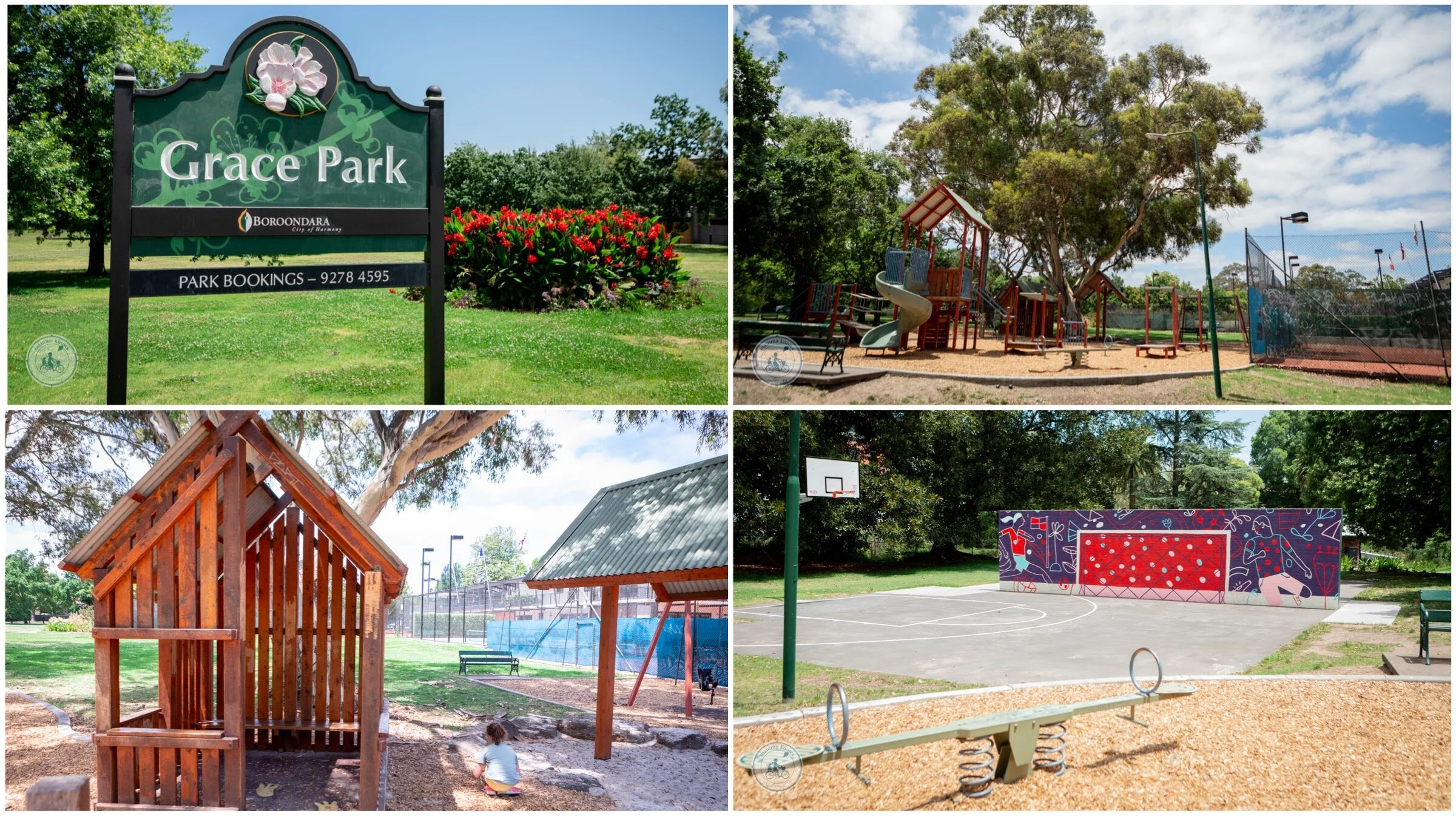grace park, hawthorn