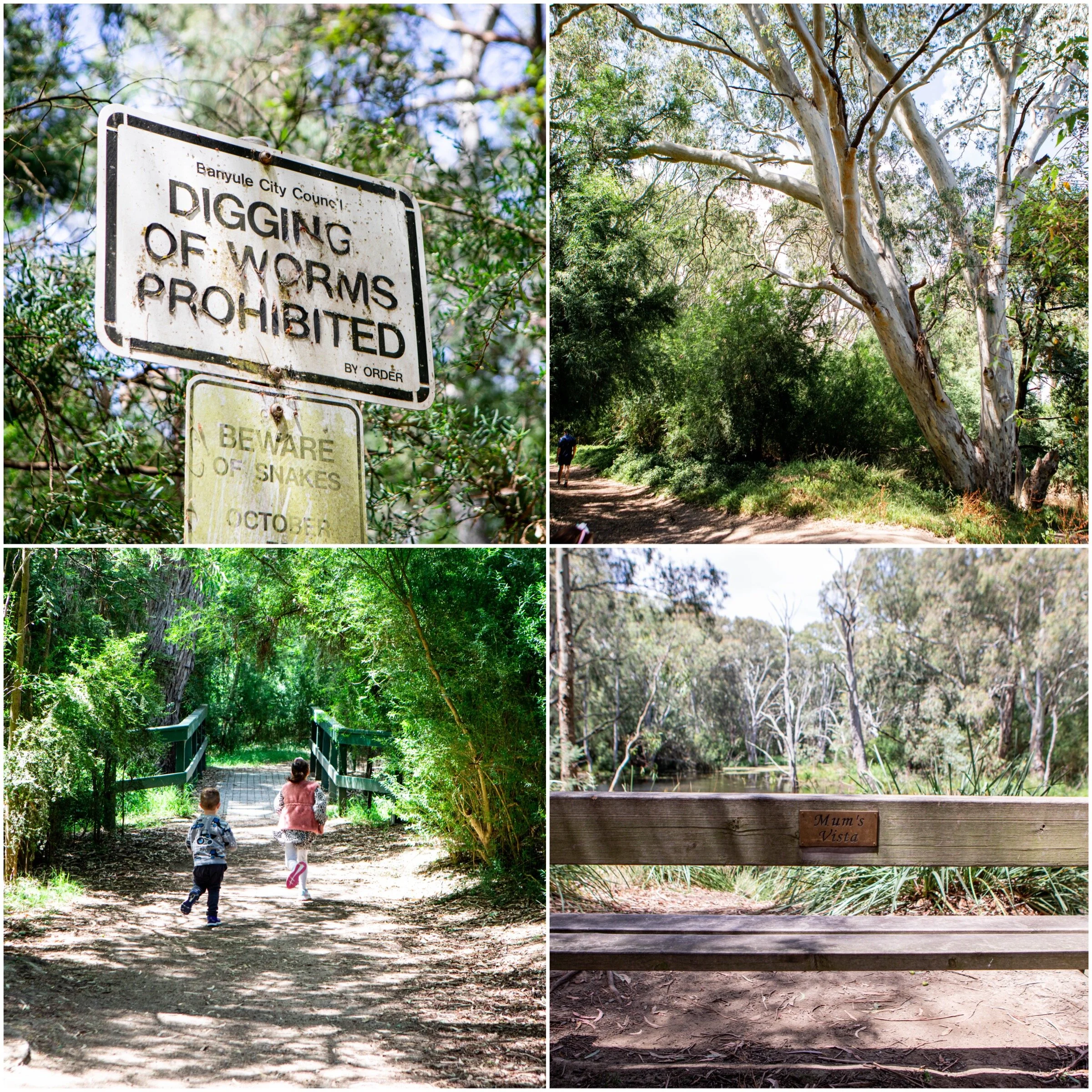 01 Wilson Reserve - Mamma Knows East Copyright (1 of 34).jpg