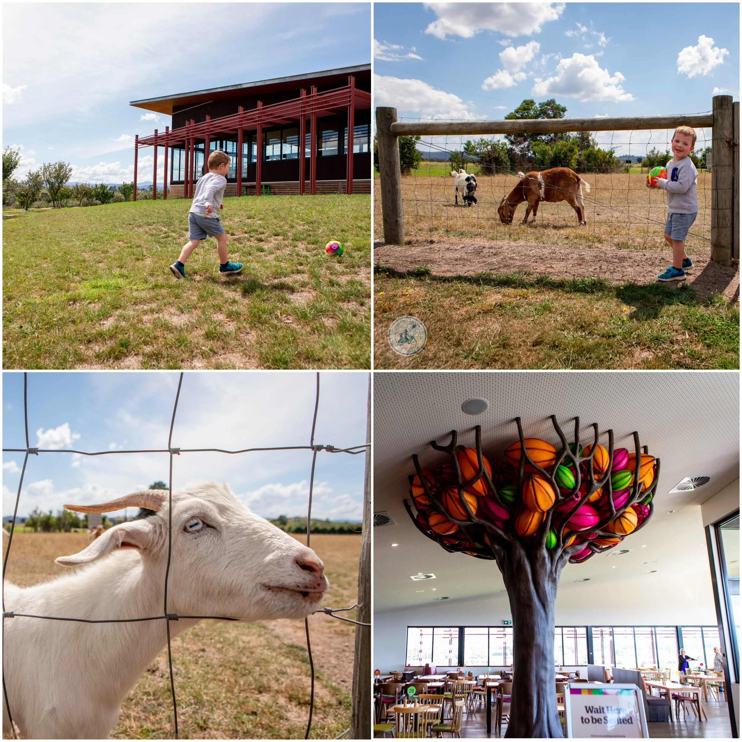yarra valley chocolaterie, yarra glen — mamma knows east